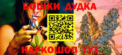 прущие грибы Пыть-Ях