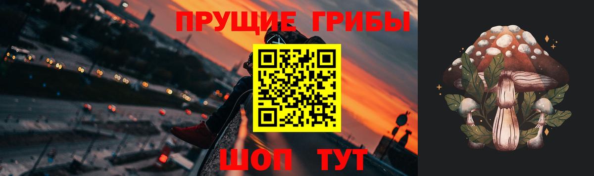 Ступино  Псилоцибиновые грибы Magic Shrooms  Вход с VPN  купить наркоту  Галлюциногенные грибы Cubensis 